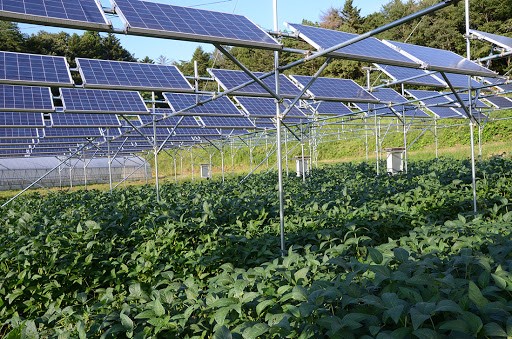 Il Piano Nazionale di ripresa e resilienza – PNRR - stanzia 1,2 miliardi di euro per sostenere gli investimenti in pannelli fotovoltaici nel settore agricolo dopo l’approvazione della Commissione Europea, ai sensi della normativa Ue sugli aiuti di Stato.