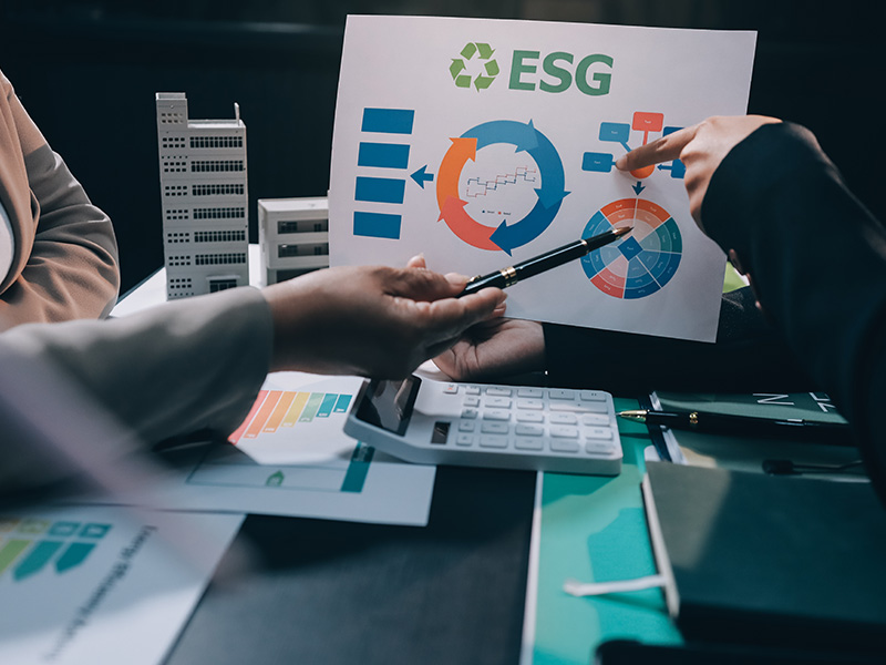 Consulenza strategica per transizione e integrazione ESG